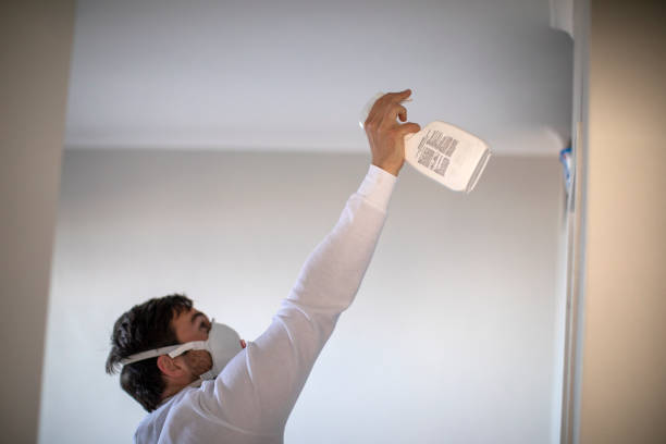 Office Mold Removal Services in Smithville Sanders, IN