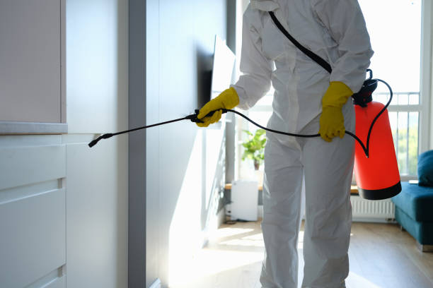 Best Attic Mold Removal  in Smithville Sanders, IN