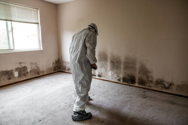 Best Mold Testing  in Smithville Sanders, IN
